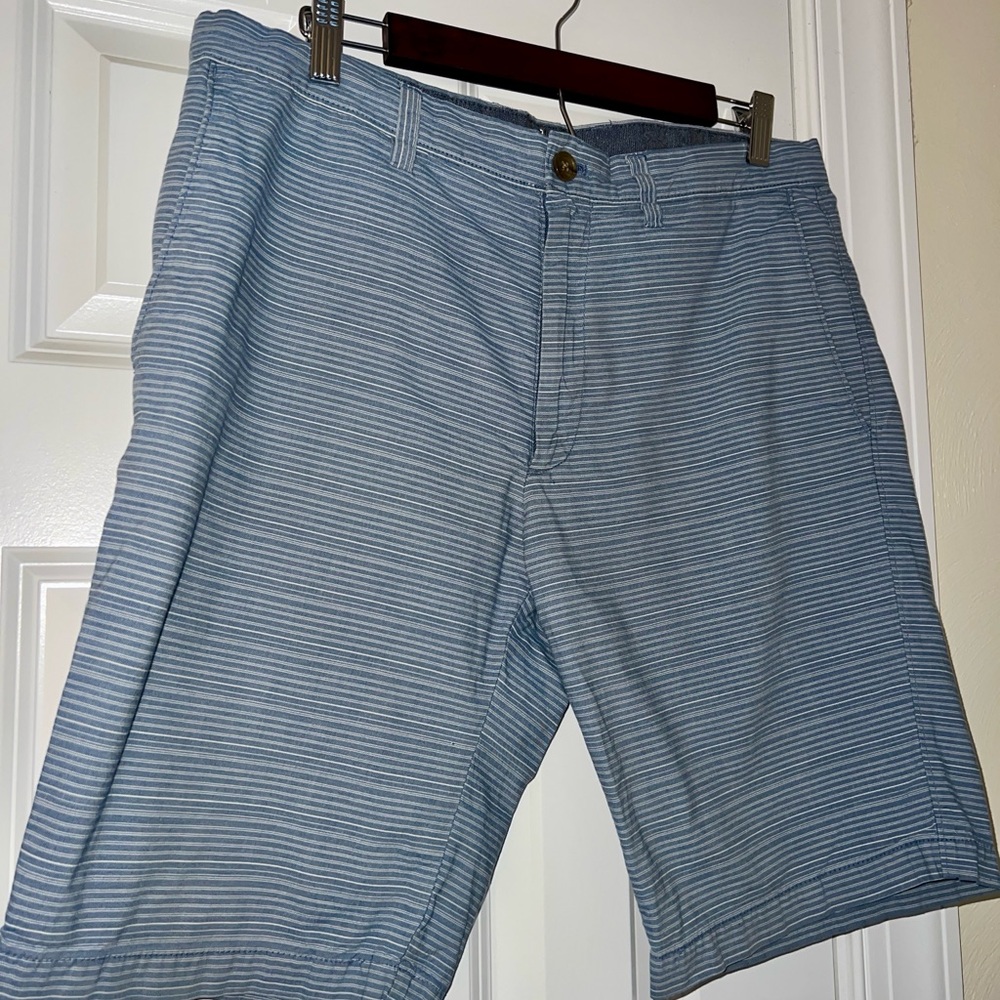 Banana Republic Light Blue Striped Men's Shorts
